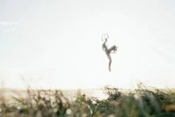 Mystic Neoprenanzug Jayde Fullsuit M Double Fzip Women 5/4 Damen Langarm 410-Navy 2023 -Outlet FCS Store 114015 25f61d6396345a1c545a58dc9ae9f40780fb2380 1