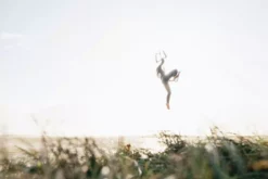 Mystic Neoprenanzug Jayde Fullsuit M Double Fzip Women 3/2 Damen Langarm 410-Navy 2023 17 Mystic Neoprenanzug Jayde Fullsuit M Double Fzip Women 3/2 Damen Langarm 410-Navy 2023 -Outlet FCS Store 114025 c7bc22f08923504a7bbee19e28b6797170c95086 1 jpg