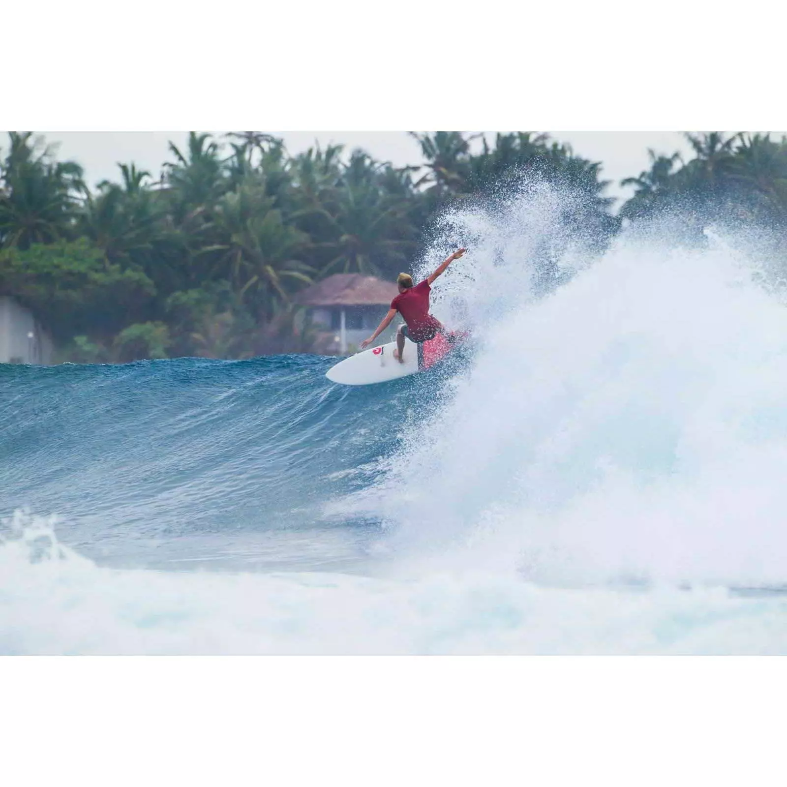 Torq Surfboard Wellenreiter TET Funboard Pinlines 2023 7 Torq Surfboard Wellenreiter TET Funboard Pinlines 2023 – Bild 5