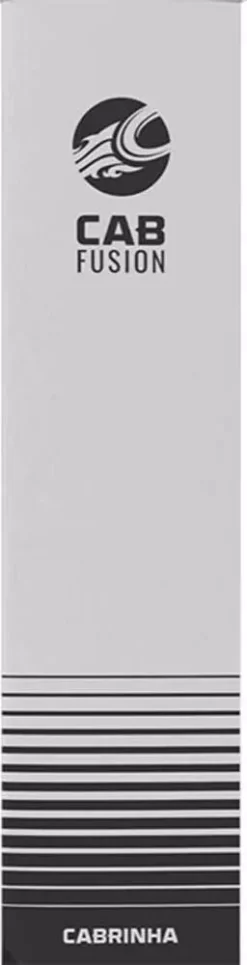 Cabrinha Kite Foil Zubehör Alloy Mast W. Helicoli Div. 2022