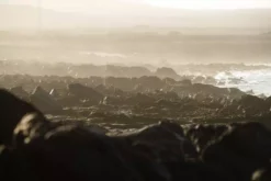 ION Neoprenschuhe Plasma Socks 0.5 Black 2023 -Outlet FCS Store Airton WHIP SLS 54 74 jpg