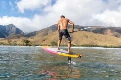 Fanatic Stand Up Paddle SUP Board Bee 2022 -Outlet FCS Store Bee ArthurArutkin Fanatic by FishBowlDiaries 2395 4